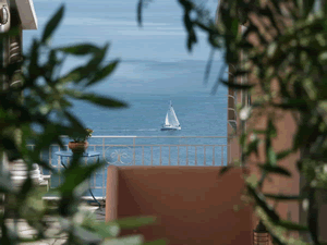 zur&uuml;ck zur Startseite